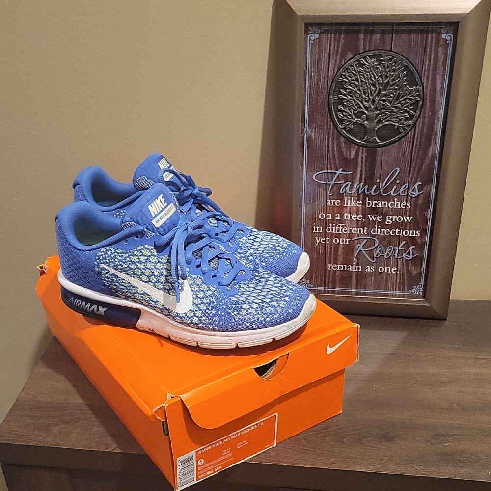 Nike Air Max Blue and White Sneakers